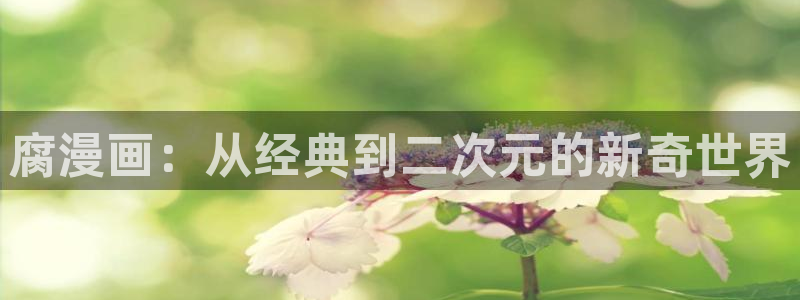 汗汗漫画健身教练：腐漫画：从经典到二次元的新奇世界