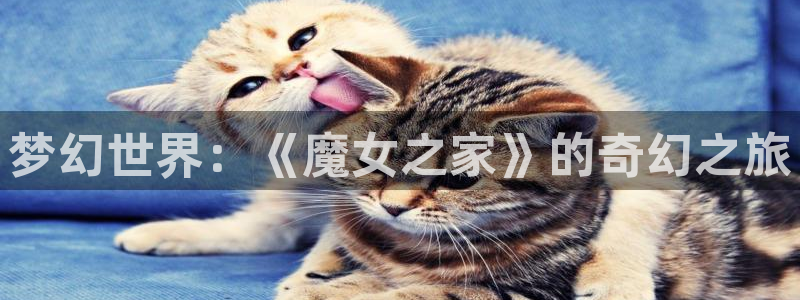 汗汗漫画网址入口：梦幻世界：《魔女之家》的奇幻之旅