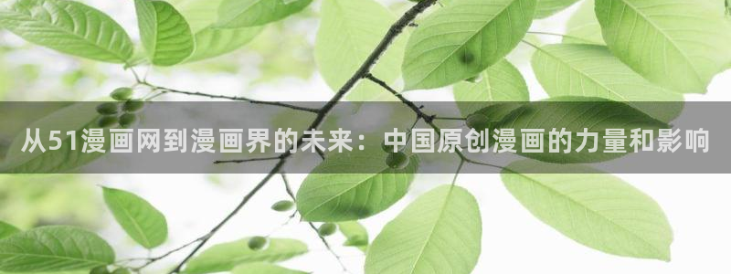 汗汗漫画排行榜：从51漫画网到漫画界的未来：中国原创漫画的力量和影响