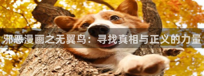 汗汗漫画登录：邪恶漫画之无翼鸟：寻找真相与正义的力量