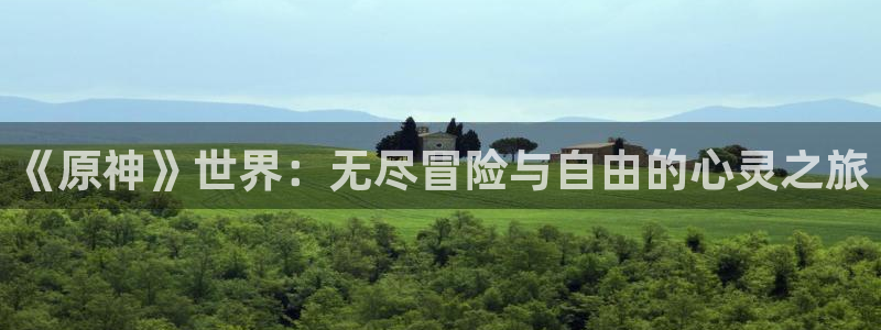 汗汗漫画海贼王：《原神》世界：无尽冒险与自由的心灵之旅