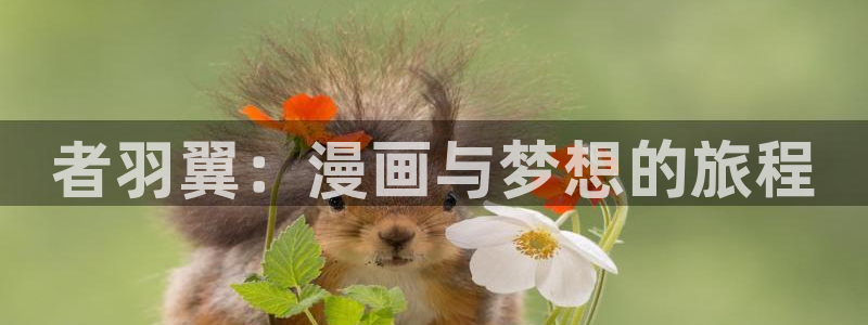 汗汗漫画小说：者羽翼：漫画与梦想的旅程